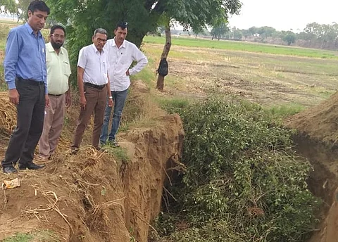 बीटी बैंगन की फसल उखाड़कर जमीन में दबाई