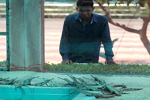 अंतरराष्ट्रीय जैवविविधता दिवस : मानव और एलियन बने जैवविविधता के दुश्मन