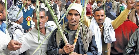 Millions of sugarcane farmers have been protesting across India. This is a protest march in New Delhi. (Photo: Amarjeet Kumar Singh)