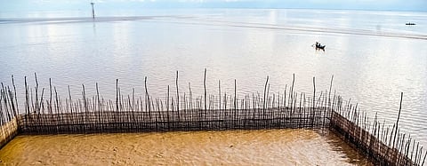 Traditional fishing gear endangers marine biodiversity