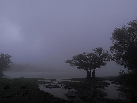 This monsoon is different