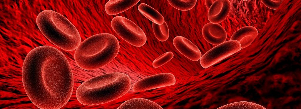 Severe anaemia declined by over 7% in India: Study