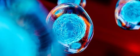 Glue ingredient produces large quantity blood stem cells in lab