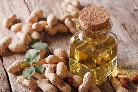 You will soon be able to buy India’s first high oleic groundnut varieties