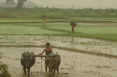 Photo: Agnimirh Basu