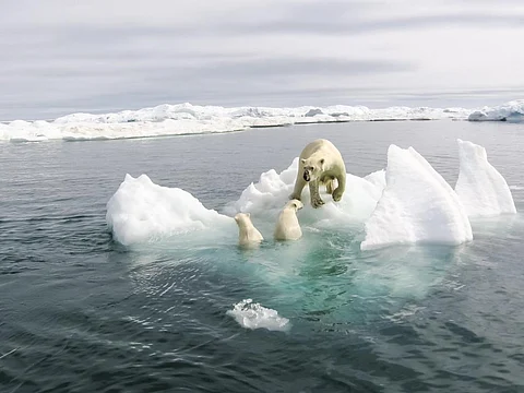 By 2050, climate change may threaten human existence