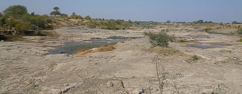 Representational picture. Photo: Anupam Chakravartty