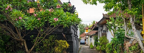 Houses and trees. Photo: Getty Images