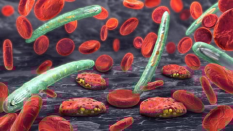 ICMR scientists identify new biomarker for malaria