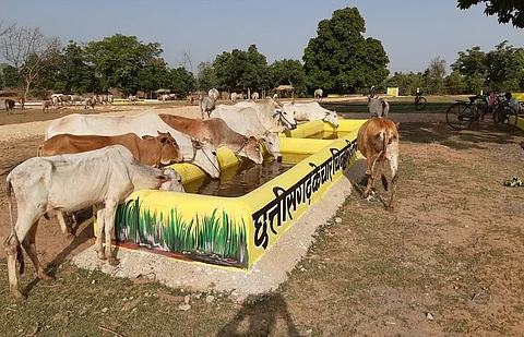 छत्तीसगढ़ के धमतरी जिले के लोहरसी गाँव में बनी गोठान। फोटो: पुरुषोत्तम सिंह ठाकुर