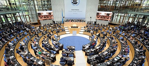 Photo: UN Climate Change/Flickr