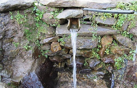 Photo Credit: Aqwadam