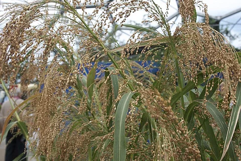 Photo: Creative commons