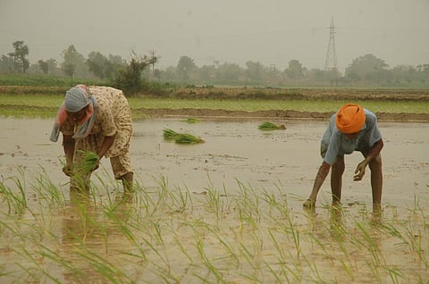Photo: Agnimirh Basu