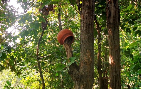 Photo: Umesh Kumar Ray