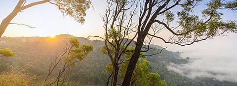 Sunrise in Madikeri, Kodagu, Karnataka. Photo: Getty Images