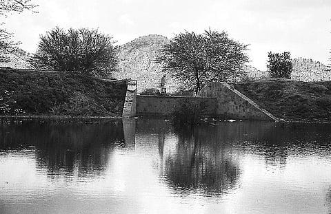 अलवर के शुष्क इलाकों में पारंपरिक बांध, जोहड़ों ने पूरी तस्वीर बदल दी है।   (गणेश पंगारे / सीएसई)