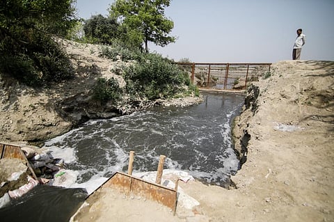 गंगा में मिलने वाले कटहल नाले में नहीं छोड़ा जाना चाहिए गन्दा पानी: एनजीटी