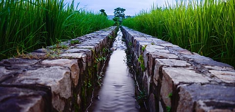 Irrigation projects continue to suffer in Maharashtra: CAG