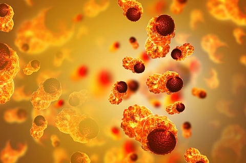 Scientists find new nano-drug delivery route for chemotherapy