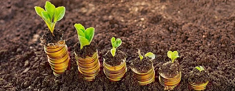 Agriculture’s contribution to GDP in the world has increased. Photo: Getty Images