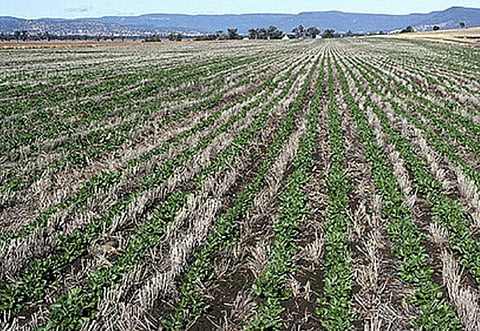 Photo: Creative commons