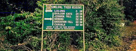 A signboard in Simlipal Tiger Reserve, Odisha, one of the states with a declining tiger population. Photo: Getty Images