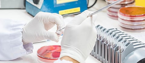 Antimicrobial resistance, for which Madhya Pradesh now has a plan, is a global public health threat according to the World Health Organization. Photo: Getty Images