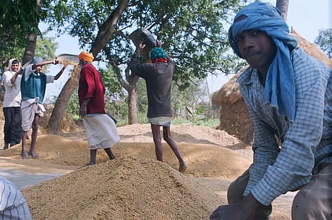 बिहार में 14 साल पहले खत्म किया गया था एपीएमसी एक्ट, किसानों को क्या मिला