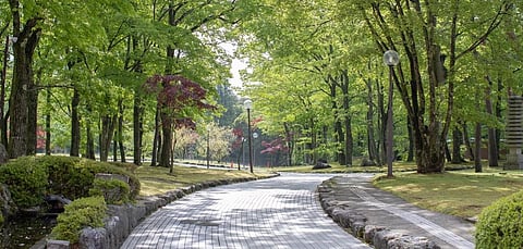 Implementing the participatory model of city management enables citizens to be part of the management process, share responsibility with authorities and also develop a sense of civic ownership towards city assets. Photo: Getty Images