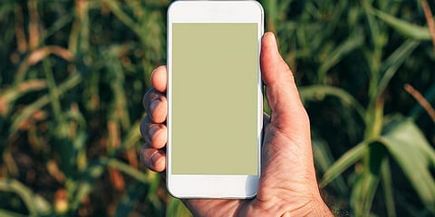 It is possible to monitor and control the irrigation of crops through a smartphone. Photo: Getty Images