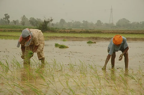 Photo: Agnimirh Basu