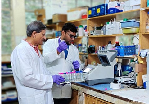 Remedy for neuropathic pain could be in the offing