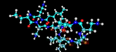 Colistin and its tolerance limits will be removed from the list of antibiotics and veterinary drugs for foods. Photo: Getty Images