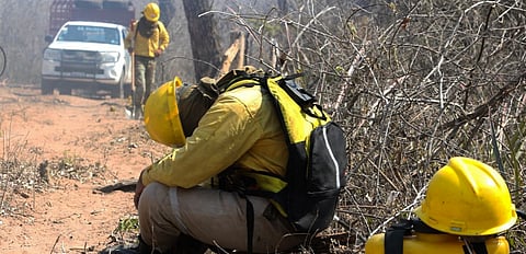 Firefighters and volunteers have been working around the clock to tackle the flames. Ipa Ibañez, Author provided