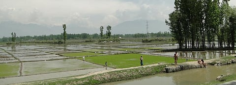 Will climate change bring back the age of famines in Kashmir?