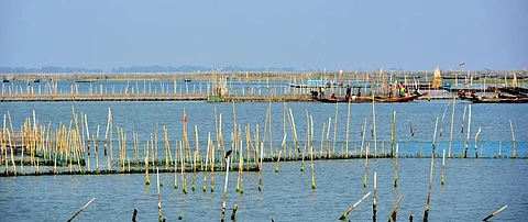 Odisha begins process to extract oil from grounded ship in Chilika