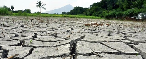 UNCCD CoP: India still unclear about its degradation target