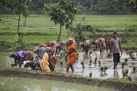 मानसून की विदाई में 15 दिन की देरी संभव, किसानों की बढ़ी धुकधुकी