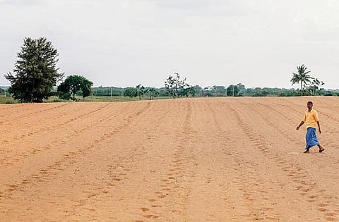 फोटो: मिथुन