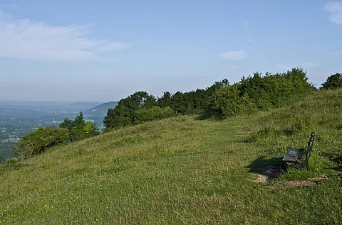 Photo: Creative commons