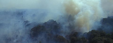 The burning Amazon. Photo: Getty Images