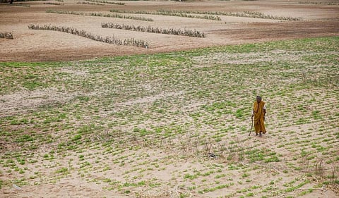 Desertification in India: Ananthapuramu in Andhra is so sandy it draws filmmakers to shoot
