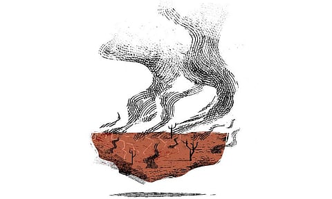 Best way to remove carbon: Sequestering it in its natural sinks