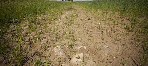 Private sector must be engaged to restore degraded land