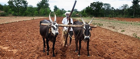 Research can play a crucial role in combating desertification: Experts