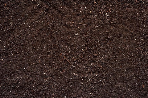 UNCCD CoP 14: Report on Soil Organic Carbon released