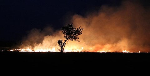 2019 could end up being the hottest year in recorded history. Photo: Getty Images