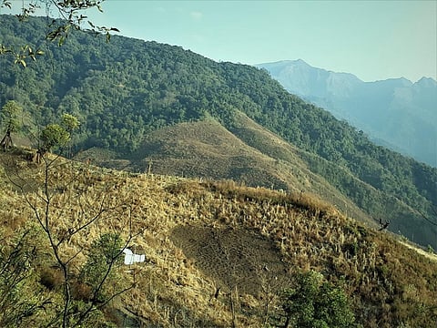 Scheme for promoting home gardens needed: Experts