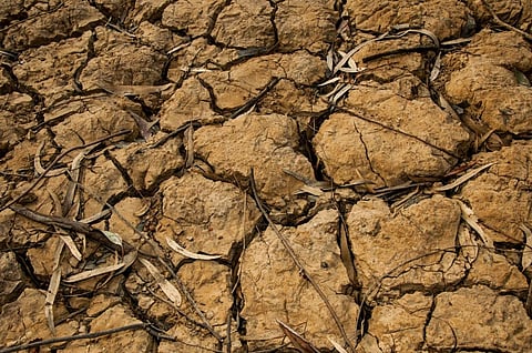 Strong nexus between land use and drought: UNCCD report